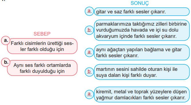 6. Sınıf Fen Bilimleri Ders Kitabı Sayfa 161 Cevapları MEB Yayınları