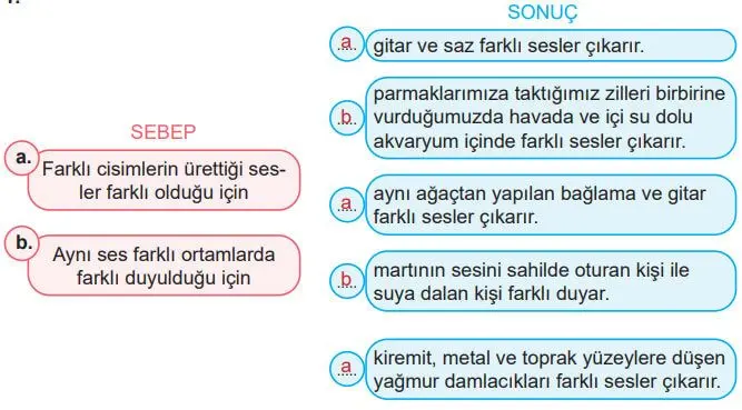 6. Sınıf Fen Bilimleri Ders Kitabı Sayfa 160-161 Cevapları MEB Yayınları