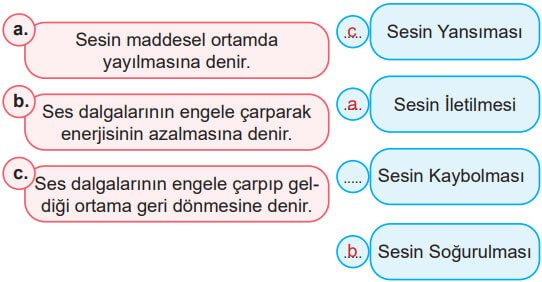 6. Sınıf Fen Bilimleri Ders Kitabı Sayfa 169 Cevapları MEB Yayınları