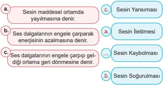 6. Sınıf Fen Bilimleri Ders Kitabı Sayfa 166-169-171-172-173 Cevapları MEB Yayınları