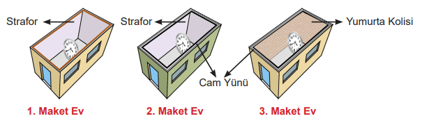 6. Sınıf Fen Bilimleri Ders Kitabı Sayfa 181 Cevapları MEB Yayınları