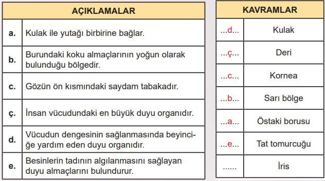 6. Sınıf Fen Bilimleri Ders Kitabı Sayfa 203 Cevapları MEB Yayınları