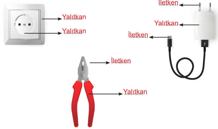 6. Sınıf Fen Bilimleri Ders Kitabı Sayfa 227 Cevapları MEB Yayınları