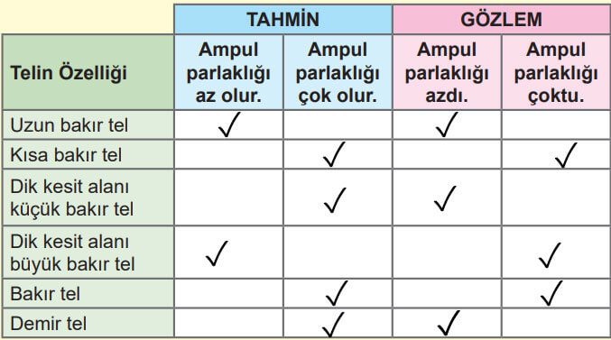 6. Sınıf Fen Bilimleri Ders Kitabı Sayfa 230 Cevapları MEB Yayınları