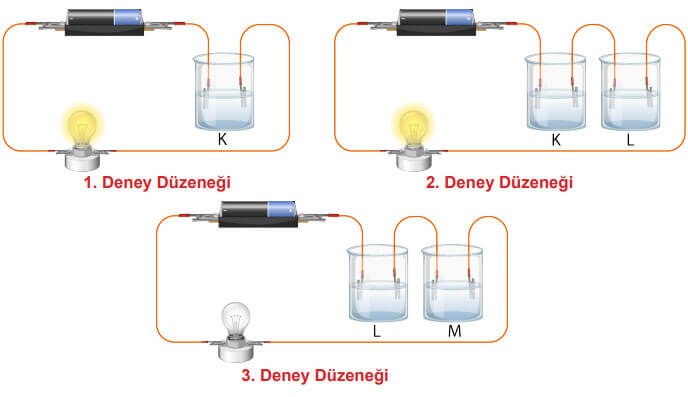 6. Sınıf Fen Bilimleri Ders Kitabı Sayfa 242 Cevapları MEB Yayınları