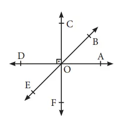 7. Sınıf Matematik Ders Kitabı Sayfa 150-154-155 Cevapları MEB Yayınları 2 7. Sınıf Matematik Ders Kitabı Sayfa 150 Cevapları MEB Yayınları1