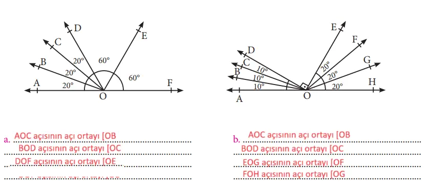 7. Sınıf Matematik Ders Kitabı Sayfa 150-154-155 Cevapları MEB Yayınları 5 7. Sınıf Matematik Ders Kitabı Sayfa 154 Cevapları MEB Yayınları2