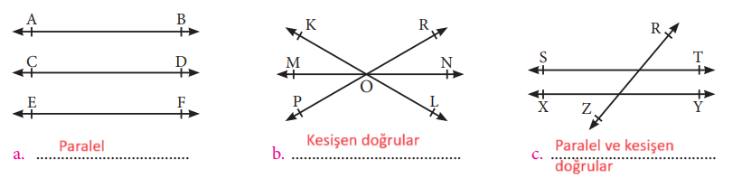 7. Sınıf Matematik Ders Kitabı Sayfa 163 Cevapları MEB Yayınları