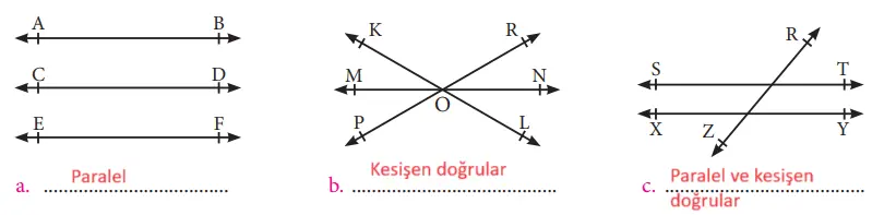 7. Sınıf Matematik Ders Kitabı Sayfa 156-163-164 Cevapları MEB Yayınları 2 7. Sınıf Matematik Ders Kitabı Sayfa 163 Cevapları MEB Yayınları