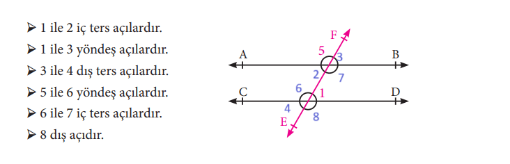 7. Sınıf Matematik Ders Kitabı Sayfa 163 Cevapları MEB Yayınları1