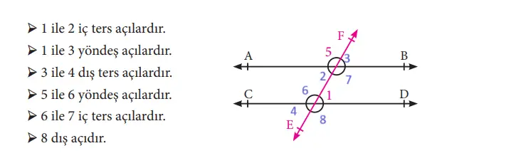 7. Sınıf Matematik Ders Kitabı Sayfa 156-163-164 Cevapları MEB Yayınları 3 7. Sınıf Matematik Ders Kitabı Sayfa 163 Cevapları MEB Yayınları1