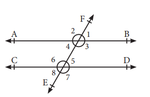 7. Sınıf Matematik Ders Kitabı Sayfa 164 Cevapları MEB Yayınları2