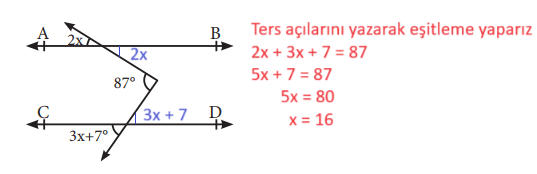 7. Sınıf Matematik Ders Kitabı Sayfa 164 Cevapları MEB Yayınları4