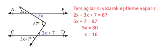 7. Sınıf Matematik Ders Kitabı Sayfa 156-163-164 Cevapları MEB Yayınları 8 7. Sınıf Matematik Ders Kitabı Sayfa 164 Cevapları MEB Yayınları4