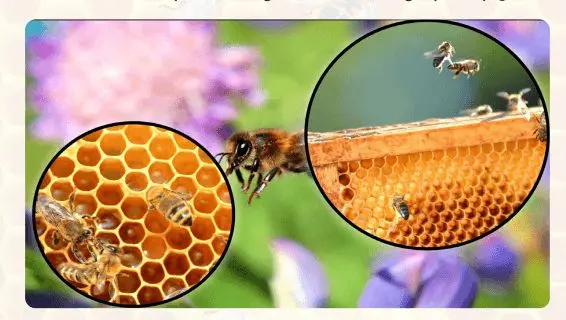 7. Sınıf Matematik Ders Kitabı Sayfa 173-177 Cevapları MEB Yayınları