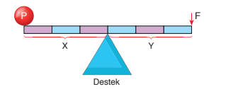 8. Sınıf Fen Bilimleri Ders Kitabı Sayfa 183 Cevapları Ata Yayıncılık