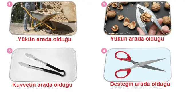 8. Sınıf Fen Bilimleri Ders Kitabı Sayfa 185-186-187 Cevapları Ata Yayıncılık