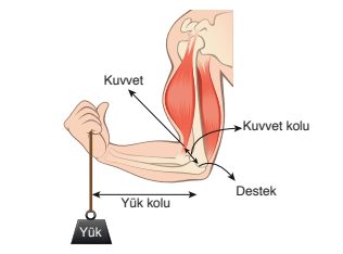 8. Sınıf Fen Bilimleri Ders Kitabı Sayfa 187 Cevapları Ata Yayıncılık