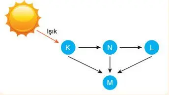 8. Sınıf Fen Bilimleri Ders Kitabı Sayfa 190-191-192-194-195 Cevapları Ata Yayıncılık 2 8. Sınıf Fen Bilimleri Ders Kitabı Sayfa 192 Cevapları Ata Yayıncılık