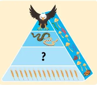 8. Sınıf Fen Bilimleri Ders Kitabı Sayfa 190-191-192-194-195 Cevapları Ata Yayıncılık 7 8. Sınıf Fen Bilimleri Ders Kitabı Sayfa 195 Cevapları Ata Yayıncılık