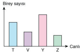 8. Sınıf Fen Bilimleri Ders Kitabı Sayfa 195 Cevapları Ata Yayıncılık