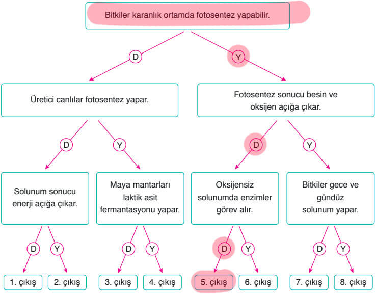 8. Sınıf Fen Bilimleri Ders Kitabı Sayfa 201 Cevapları Ata Yayıncılık