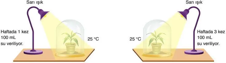 8. Sınıf Fen Bilimleri Ders Kitabı Sayfa 196-197-201-202 Cevapları Ata Yayıncılık