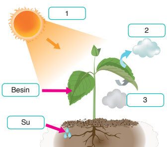 8. Sınıf Fen Bilimleri Ders Kitabı Sayfa 202 Cevapları Ata Yayıncılık