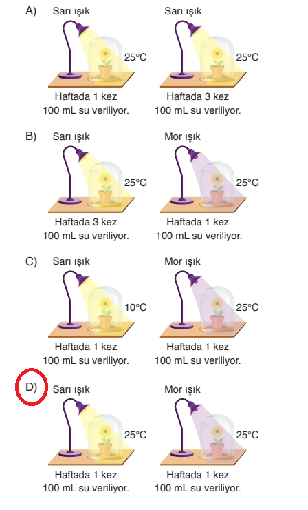 8. Sınıf Fen Bilimleri Ders Kitabı Sayfa 202 Cevapları Ata Yayıncılık