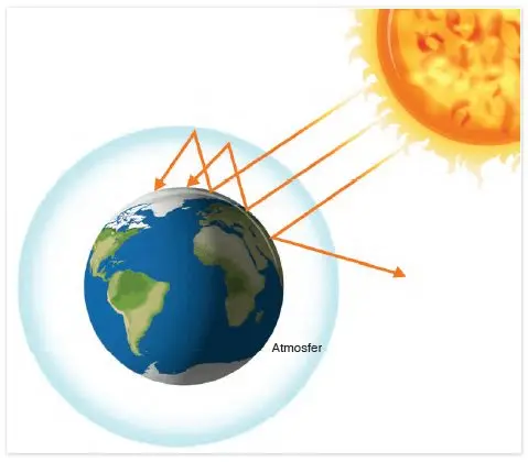 8. Sınıf Fen Bilimleri Ders Kitabı Sayfa 204-205-206-207-209 Cevapları Ata Yayıncılık