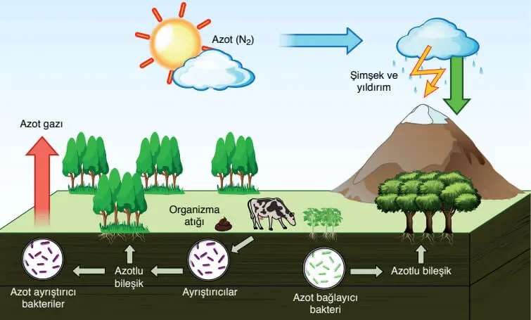 8. Sınıf Fen Bilimleri Ders Kitabı Sayfa 210-211 Cevapları Ata Yayıncılık