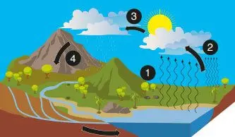 8. Sınıf Fen Bilimleri Ders Kitabı Sayfa 210-211 Cevapları Ata Yayıncılık 2 8. Sınıf Fen Bilimleri Ders Kitabı Sayfa 211 Cevapları Ata Yayıncılık