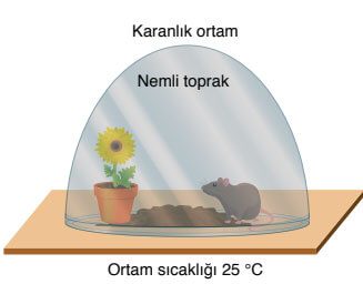 8. Sınıf Fen Bilimleri Ders Kitabı Sayfa 222 Cevapları Ata Yayıncılık