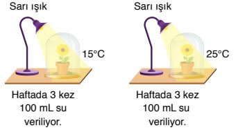 8. Sınıf Fen Bilimleri Ders Kitabı Sayfa 222 Cevapları Ata Yayıncılık