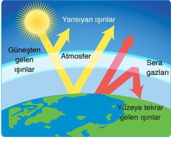 8. Sınıf Fen Bilimleri Ders Kitabı Sayfa 223 Cevapları Ata Yayıncılık