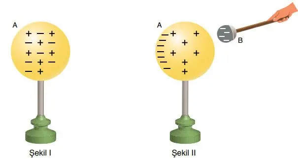 8. Sınıf Fen Bilimleri Ders Kitabı Sayfa 225-226-229-230-231-232-233 Cevapları Ata Yayıncılık