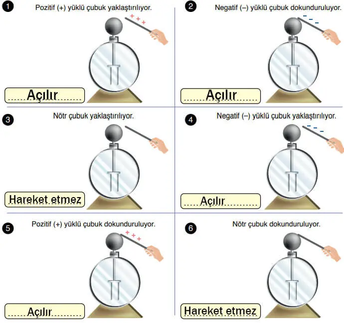 8. Sınıf Fen Bilimleri Ders Kitabı Sayfa 234-235-236-238-239 Cevapları Ata Yayıncılık