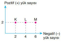 8. Sınıf Fen Bilimleri Ders Kitabı Sayfa 239 Cevapları Ata Yayıncılık