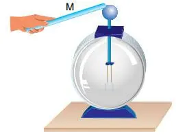 8. Sınıf Fen Bilimleri Ders Kitabı Sayfa 234-235-236-238-239 Cevapları Ata Yayıncılık 5 8. Sınıf Fen Bilimleri Ders Kitabı Sayfa 239 Cevapları Ata Yayıncılık