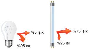 8. Sınıf Fen Bilimleri Ders Kitabı Sayfa 250 Cevapları Ata Yayıncılık