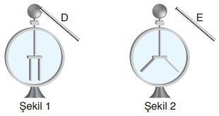 8. Sınıf Fen Bilimleri Ders Kitabı Sayfa 255 Cevapları Ata Yayıncılık