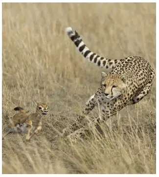 8. Sınıf Fen Bilimleri Ders Kitabı Sayfa 189 Cevapları Ata Yayıncılık