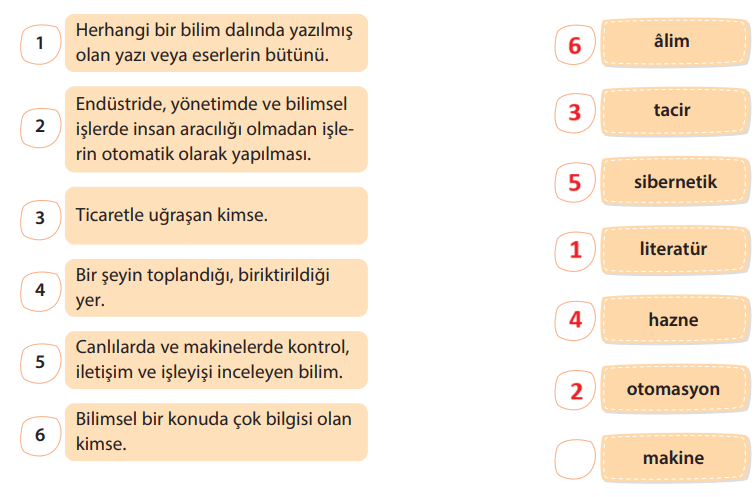 5. Sınıf Türkçe Ders Kitabı Sayfa 213 Cevapları KOZA Yayınları