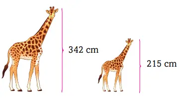 3. Sınıf Matematik Ders Kitabı Sayfa 266-267-268-269 Cevapları Ekoyay Yayıncılık
