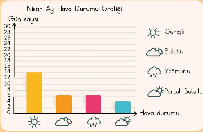 4. Sınıf Türkçe Ders Kitabı Sayfa 223-224-225 Cevapları MEB Yayınları