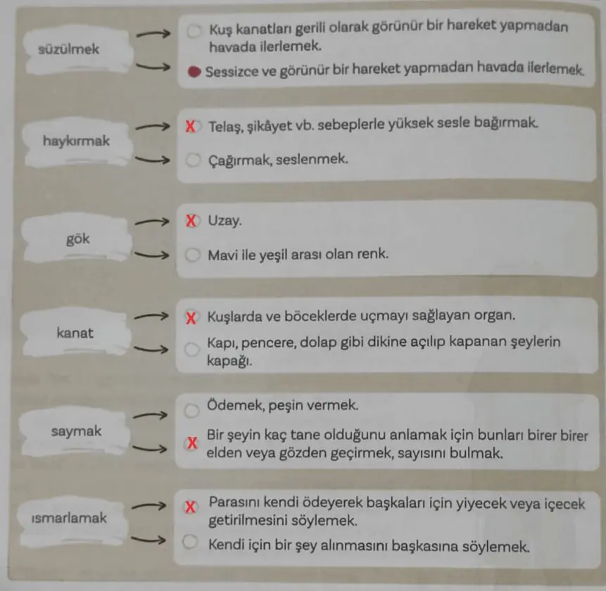 5. Sınıf Türkçe Ders Kitabı Sayfa 49-53-54-55 Cevapları 1. Kitap