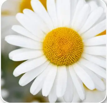 7. Sınıf Türkçe Ders Kitabı Sayfa 12-14-15-16-17-18 Cevapları Özgün Yayıncılık 1 7. Sınıf Türkçe Ders Kitabı Sayfa 14 Cevapları