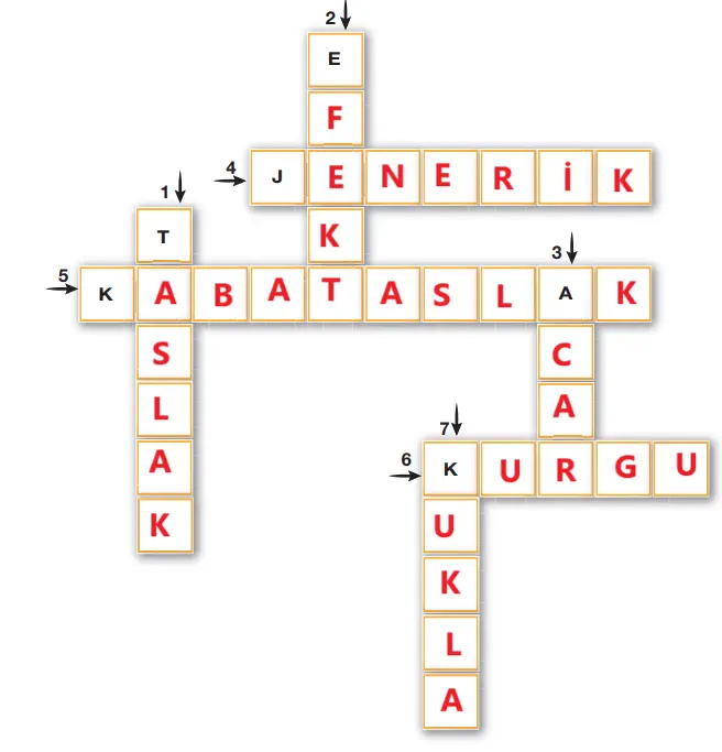 7. Sınıf Türkçe Ders Kitabı Sayfa 19-21-22-23-24 Cevapları Özgün Yayıncılık