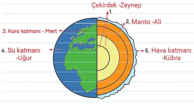 3. Sınıf Fen Bilimleri Ders Kitabı Sayfa 21-24-25 Cevapları MEB Yayınları