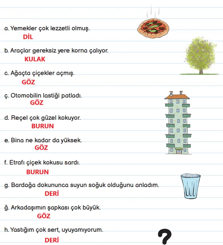 3. Sınıf Fen Bilimleri Ders Kitabı Sayfa 54 Cevapları MEB Yayınları